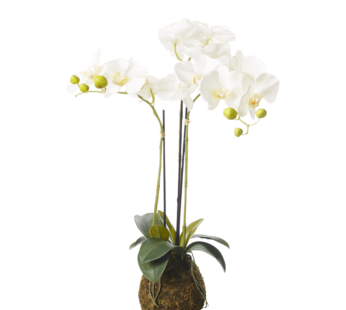 FAUX ORCHID IN WHITE