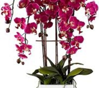 Silk Faux Artificial Flowers Arrangements Realistic Purple Fuchsia Orchid