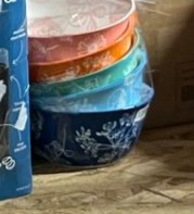 Brand New! Botanical Stoneware 10 Piece Multicolor Bowls