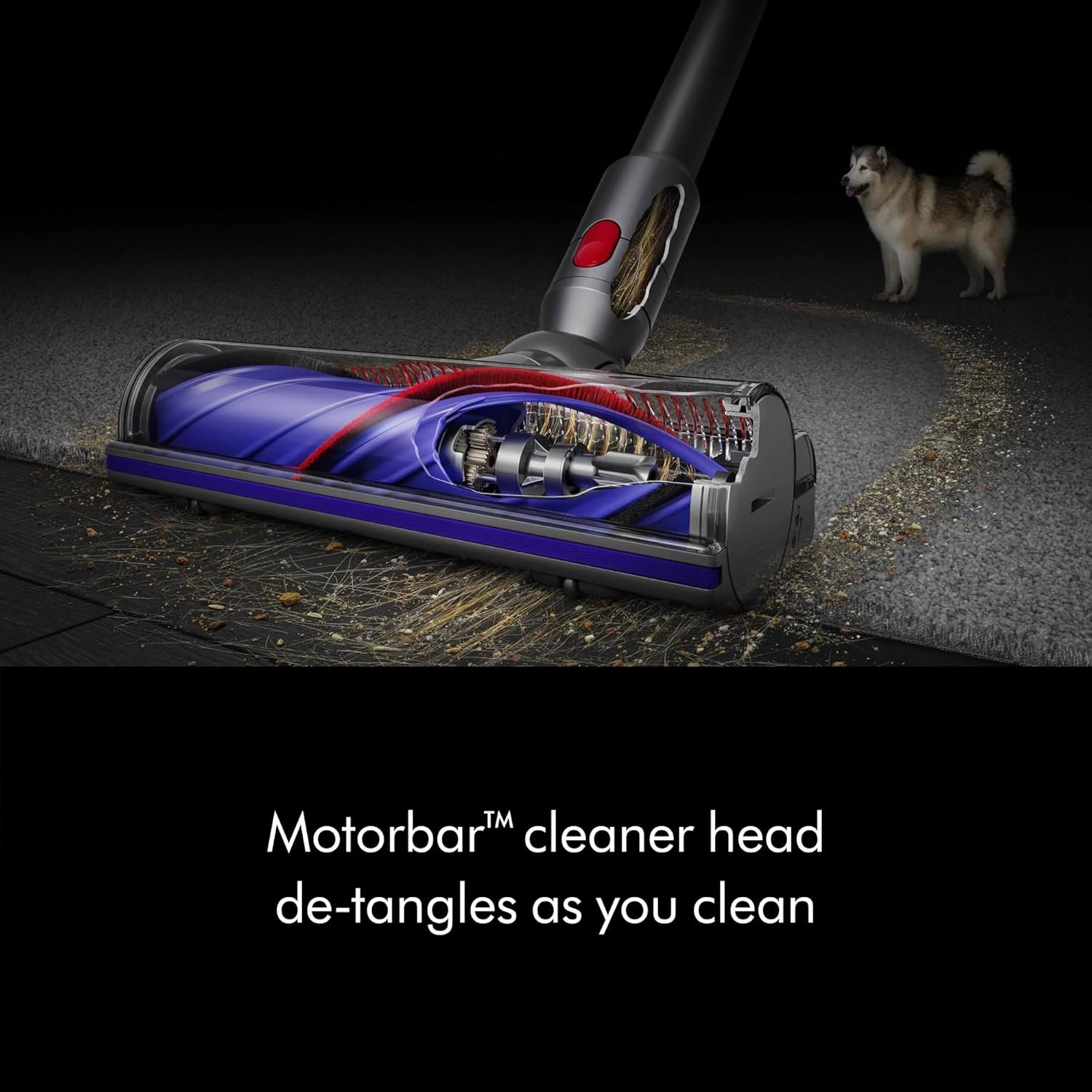Dyson V8 Extra Cordless Vacuum Cleaner | Purple - Image 5