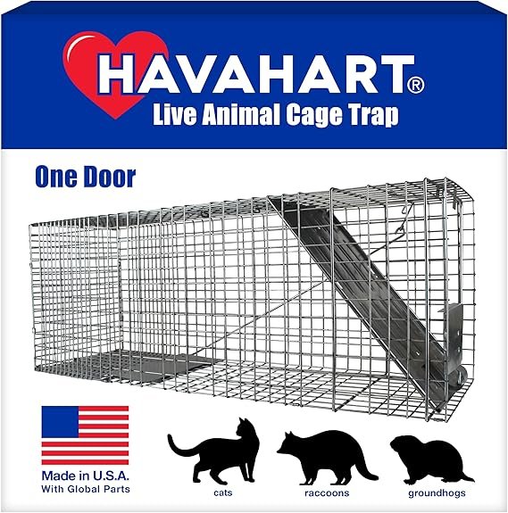 HAVAHART 1079SR Large 1-Door Humane Catch and Release Live Animal Trap Cage - Live Raccoon Trap, for Bobcats, Beavers, Dogs, & More