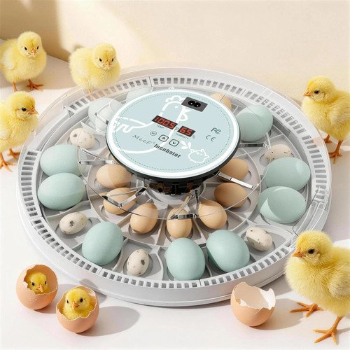 MeeF Egg Incubator for Hatching 28 Eggs, Auto Flip, Independent Atomizing Humidifier, with Duck and Goose Egg Trays (Green)